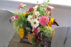 brights6L
