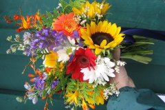 brights7L