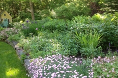 Landscape mcd pic mid spring