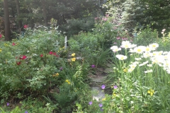 landscape Mcd path 2012 IMG_1279