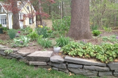 landscape mcd spring 1 IMG_0841