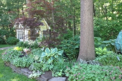 landscape mcd summer shade