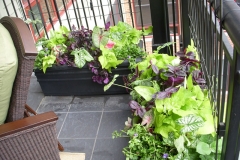 CONDO PLANTING CONTAINERS