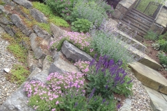 cott_Opening_Pic_landscape_after_staircase