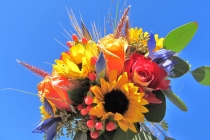 count1