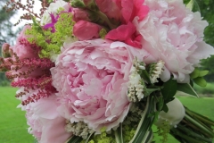 opening pic peony 020