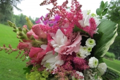 peony4