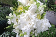peony6