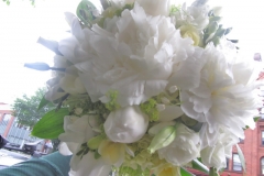 peony7