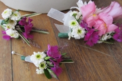 peony8