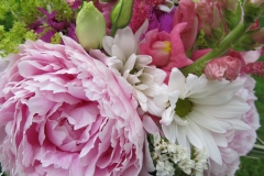 peony9