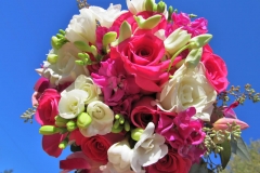 BFDPinks097