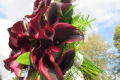 holly5