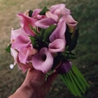 pink_b1