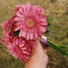 pink_b3