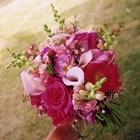 pink_b5
